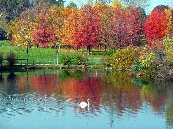 Parco della Pellerina